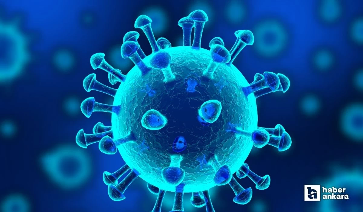 DSÖ açıkladı: Koronavirüs insanların ömrünü 2 yıl kısalttı
